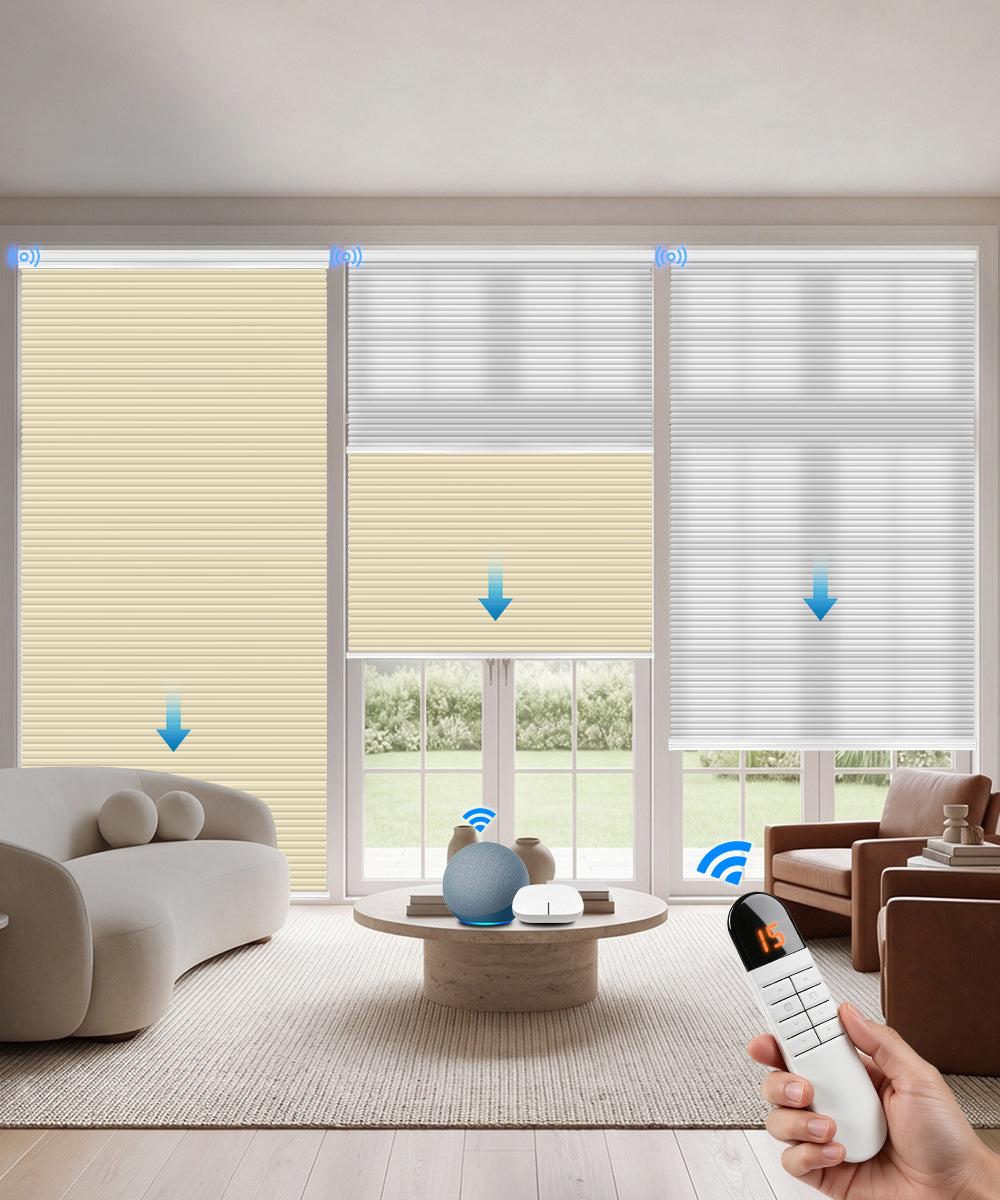 Motorized Day Night Cellular Shade (Light Filtering + Blackout)