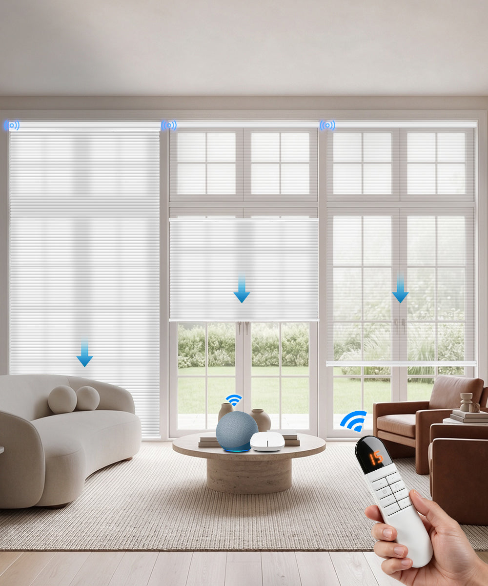 Motorized Day Night Cellular Shades – Sheer & Blackout/Light Filtering