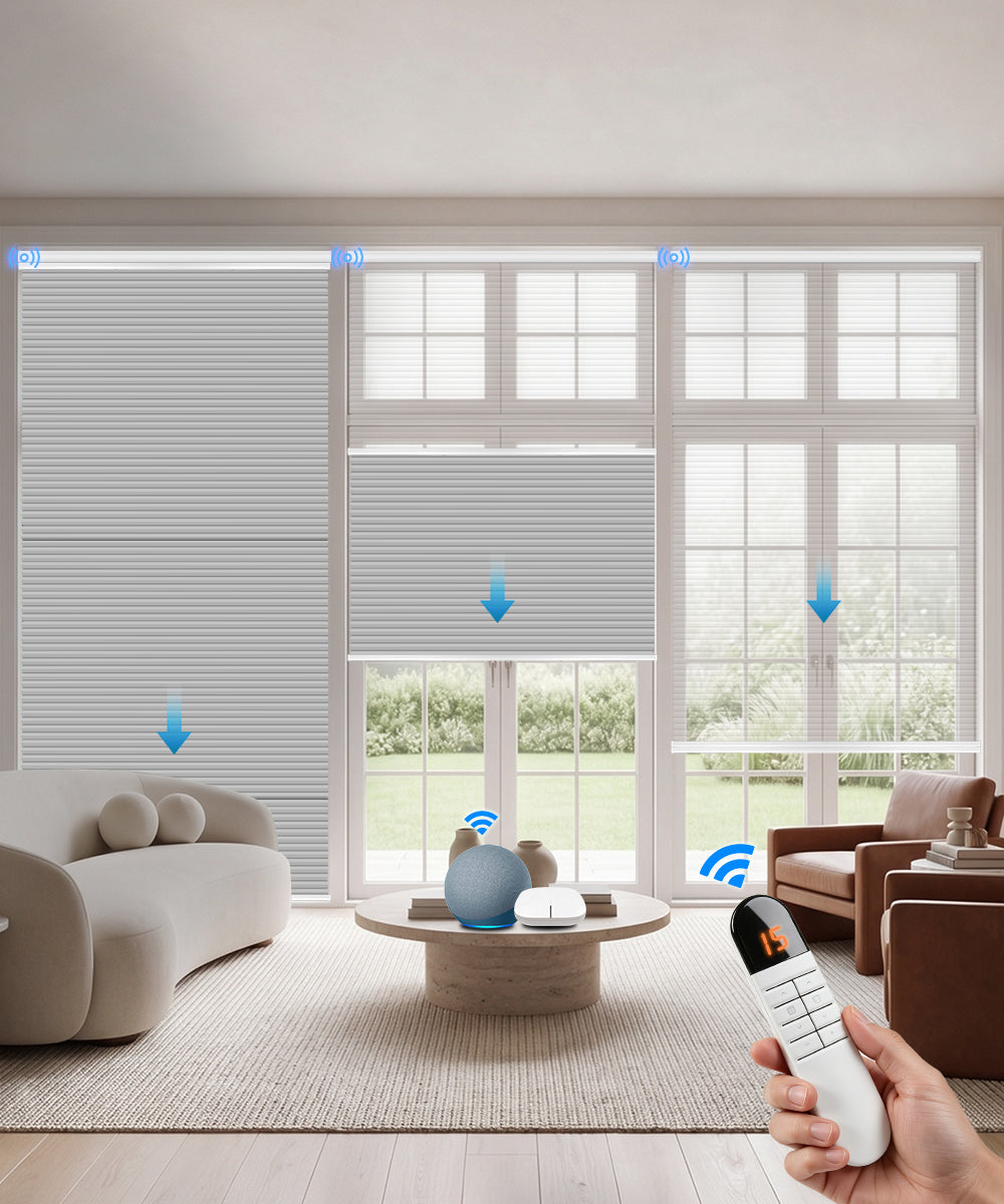 Motorized Day Night Cellular Shades – Sheer & Blackout/Light Filtering
