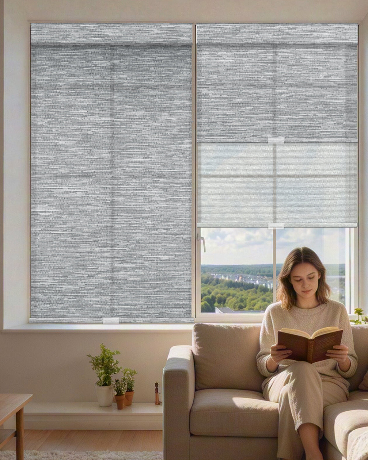 Manual Cordless Dual Roller Shades, Light Filtering & Sheer