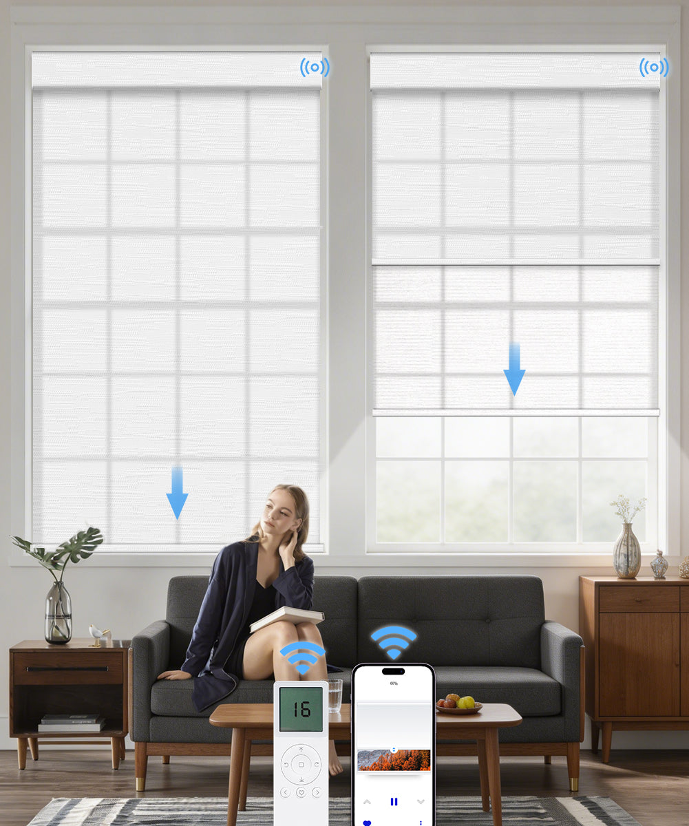 Motorized Dual Roller Shades, Light Filtering & Sheer