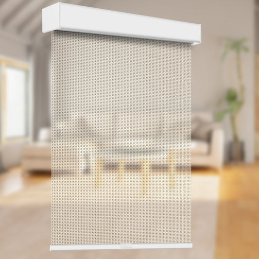 Manual Cordless Light Filtering Fireproof Roller Shade - Tokblind official